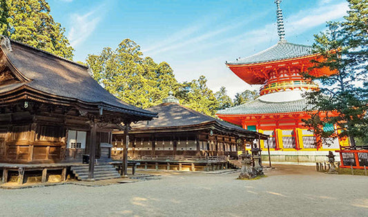 高野山大学